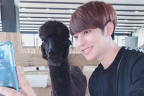 Căn bệnh nhiễm trùng máu cấp khiến mỹ nam Hàn qua đời nguy hiểm ra sao?