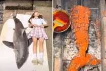 Quay video ăn thịt cá mập trắng, nữ vlogger đối mặt án tù 5 năm