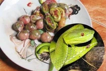 Thực hư các món ăn kinh dị được quý ông tin dùng như “viagra”