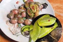 Thực hư các món ăn kinh dị được quý ông tin dùng như “viagra”