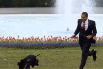 “Đẳng cấp” loạt thú cưng của Tổng thống Mỹ qua các thời kỳ