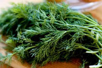 Công dụng bất ngờ của rau thì là với sức khỏe nhiều người không biết