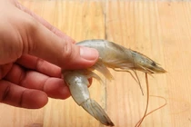 Bị tôm cứa vào tay, người đàn ông tử vong sau 6 ngày