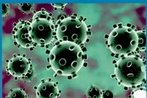 Chuyên gia khẳng định virus corona không truyền qua “bụi khí”