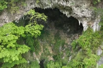 Phát hiện hố sụt khổng lồ chứa cả rừng cây cổ thụ bên dưới