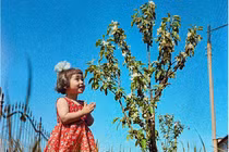 Tuổi thơ hạnh phúc của những đứa trẻ Liên Xô qua ảnh