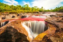 Ngẩn ngơ trước cảnh sắc huyền ảo trên “sông cầu vồng”