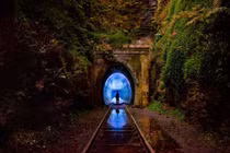 Du khách tò mò đổ xô tới đường hầm đom đóm Helensburgh 