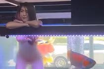 Thuê người mẫu bikini ngồi trong bể cá, cửa hàng hứng “gạch đá”