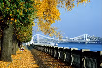 Mùa thu lá vàng qua ống kính nhiếp ảnh gia Liên Xô