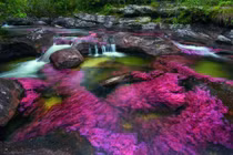 Chiêm ngưỡng những dòng sông màu sắc kỳ lạ trên thế giới