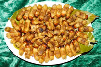 Những món sâu béo nhung nhúc, đặc sản kinh dị ở Việt Nam