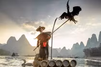 Ấn tượng bộ ảnh ngư dân Trung Quốc đánh cá bằng chim cốc
