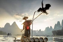 Ấn tượng bộ ảnh ngư dân Trung Quốc đánh cá bằng chim cốc