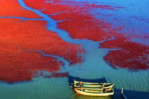 Kinh ngạc khung cảnh thơ mộng “Biển Đỏ” của Trung Quốc