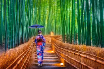 Lạc bước vào khu rừng tre đẹp nhất thế giới