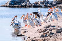 Hòn đảo “bốc mùi”, không ai dám bén mảng tới