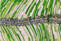 Ngôi làng "độc đạo" ở Ba Lan đẹp như tranh vẽ