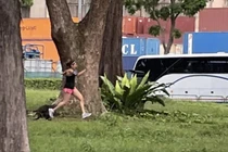 Cô gái bị đàn rái cá rượt đuổi “chạy té khói” trong công viên