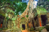 Vẻ đẹp ma mị những địa điểm bỏ hoang bị thực vật xâm lấn