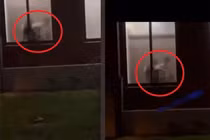 Cặp đôi “hớ hênh” trong nhà vệ sinh bị hàng trăm người chứng kiến