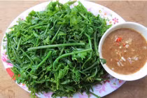 Các món rau rừng đắt giá được nhiều người dân thành phố săn lùng