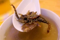 Món súp bọ cạp kinh dị của Trung Quốc khiến du khách “khóc thét”