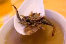 Món súp bọ cạp kinh dị của Trung Quốc khiến du khách “khóc thét”