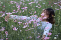 Cánh đồng hoa hướng dương khiến giới trẻ ngây ngất ở Bắc Giang