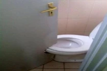 Nhà vệ sinh thơ mộng thách tiền không ai dám... cởi quần vì lý do này!