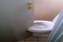 Nhà vệ sinh thơ mộng thách tiền không ai dám... cởi quần vì lý do này!