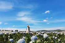 Tháng 10 rồi, lên kế hoạch check-in những đồng hoa dưới đây ngay thôi