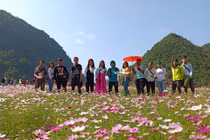 Ngỡ lạc chốn thiên đường ở thung lũng hoa đẹp ngất ngây ở Lạng Sơn