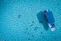 2019 tới nơi rồi, bạn đã lên kế hoạch đi du lịch ở đâu chưa?