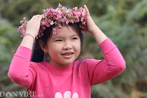 Ảnh: Mê mẩn những đồi hoa tam giác mạch ở Hà Giang