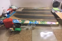 Lấy phải vợ “não cá vàng”, chàng trai ngậm ngùi bơi trong phòng