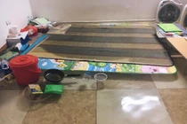 Lấy phải vợ “não cá vàng”, chàng trai ngậm ngùi bơi trong phòng