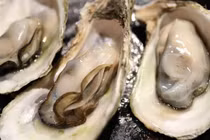 Bụng yếu lại ăn hàu kiểu này, hai chị em nhiễm trùng máu