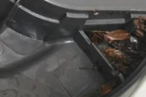 Cuối năm vệ sinh nồi cơm điện, cô gái khóc ngất vì điều này