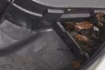 Cuối năm vệ sinh nồi cơm điện, cô gái khóc ngất vì điều này