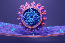 Phát hiện “siêu nút” ngăn virus nCoV xâm nhập tế bào, COVID-19 chết chắc?