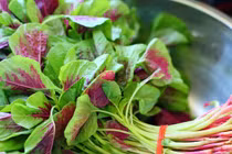 Loại rau trường thọ, bán đầy mùa hè, giá cực rẻ mà ít người biết 