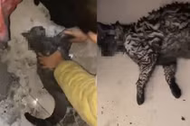 Ra ngoài không tắt máy sưởi, cặp đôi khóc ròng hối không kịp