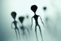 Tưởng chạm trán sinh vật huyền thoại, nào ngờ sự thật ngã ngửa