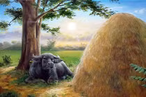 Tuần mới (13/3 - 19/3): 3 con giáp may mắn ập về, tiền đếm không xuể 