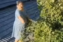 Bố chồng đánh con dâu dã man, mẹ chồng làm điều ai cũng tức 