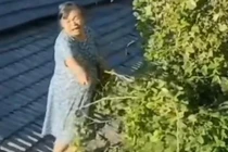 Bố chồng đánh con dâu dã man, mẹ chồng làm điều ai cũng tức 