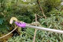 Đang giặt quần áo bên sông, choáng váng khi đụng độ quái vật khổng lồ 