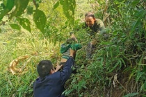 Bé gái 3 tuổi mất tích lộ chuyện rợn người trong núi sâu