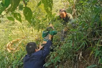 Bé gái 3 tuổi mất tích lộ chuyện rợn người trong núi sâu